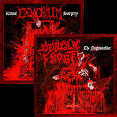 Deadly Frost / Exmortum - The Nightstalker / Ritual