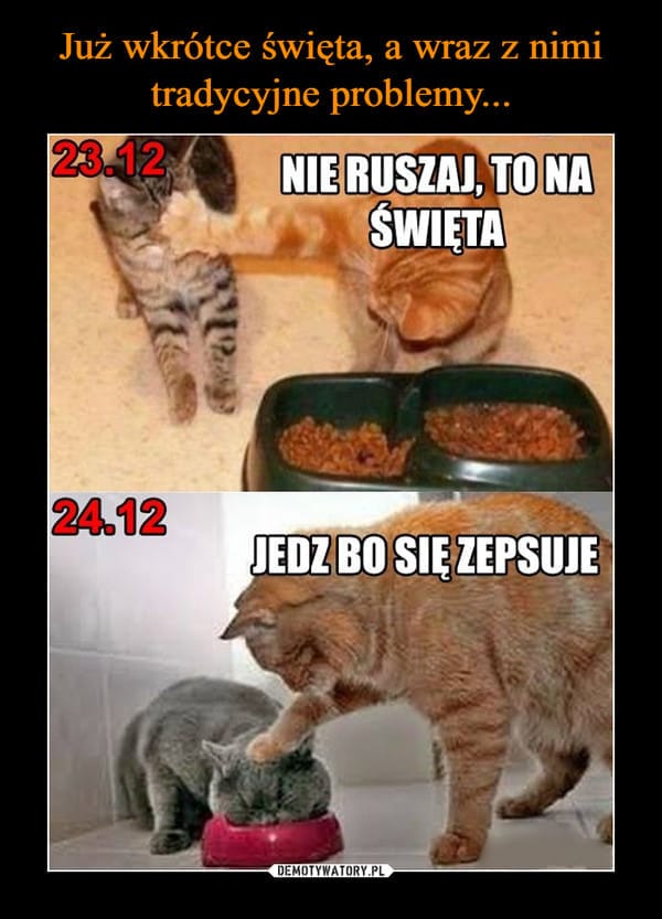 swieta.jpeg