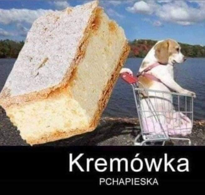 papa.jpeg